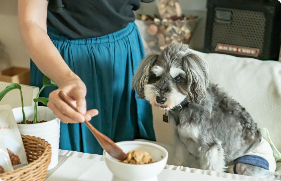 ご飯をお皿に盛りつけている写真