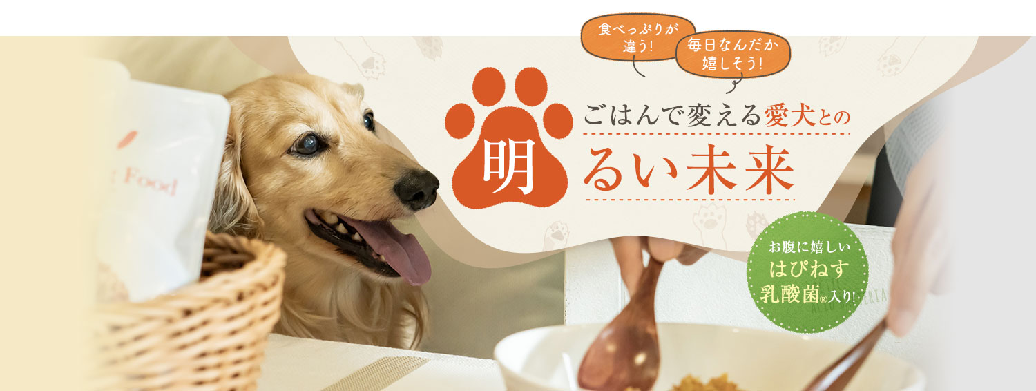 ごはんで変える愛犬との明るい未来