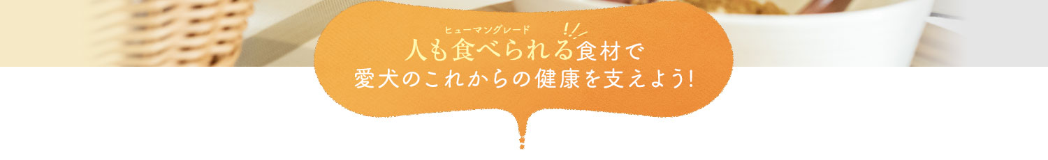 人も食べられる食材で愛犬のこれからの健康を支えよう!