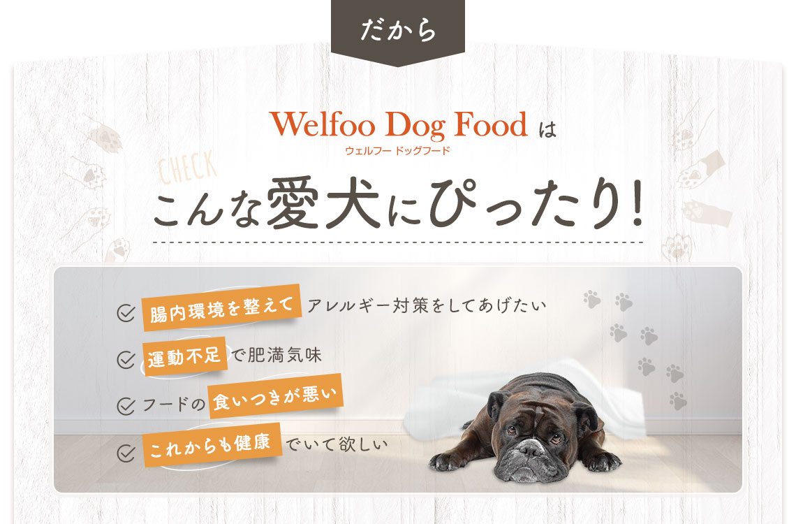 こんな愛犬にぴったり！